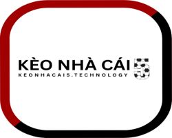 Ba Lô & Túi Ví Nam 