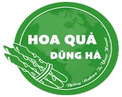 Dịch Vụ 