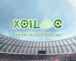 xoilactvbio