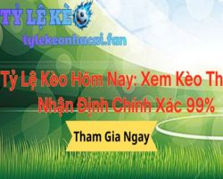 Trang Trí Nội Thất 